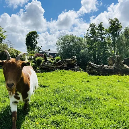 Holiday home Bungalowpark De Horn - Floresta 215 *