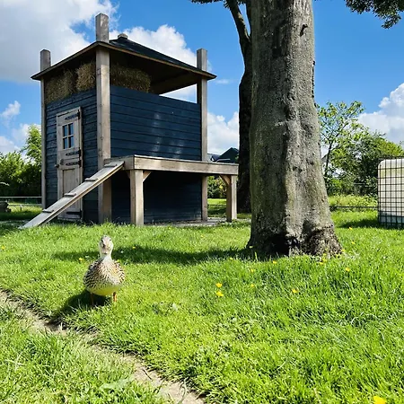 Bungalowpark De Horn - Floresta 215 Dirkshorn