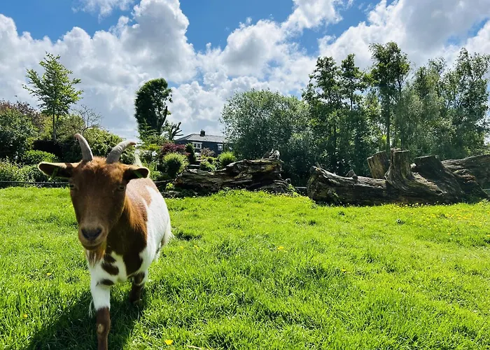 Ferienhaus Bungalowpark De Horn - Floresta 215 *