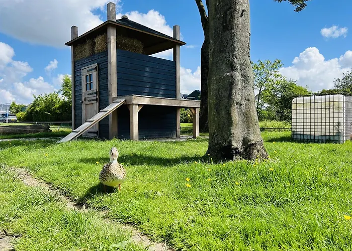 Bungalowpark De Horn - Floresta 215 Dirkshorn